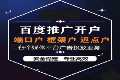 XX领域竞价广告的投放策略及效果展示